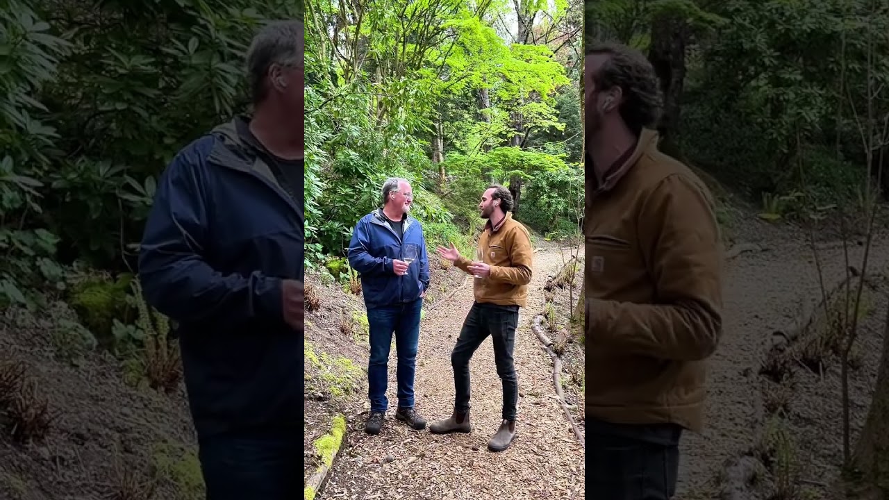 May 2024 Wine Club Release