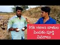 Duck Farming | Muthyalapadu |Village Makings