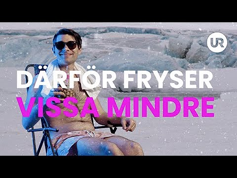 Video: Varför fryser program?