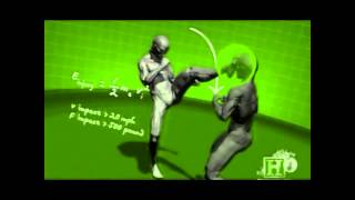 Human Weapon Taekwondo Wealth