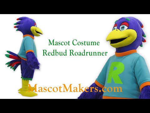 Redbud Roadrunner Mascot Costume for Redbud Elementary School in Edmond, OK