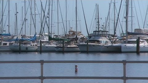 TAMPA BAY - A TREASURE AWAITS!sdfasdfaksdhf lkasjdfhlkhjjj