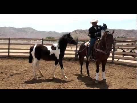 How to dally or pony a horse - YouTube