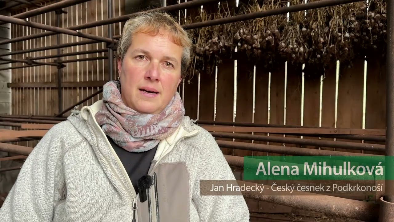 ČESKÝ ČESNEK Z PODKRKONOŠÍ - Regionální potravina Libereckého kraje 2024