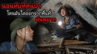 นอนทับที่ของคนป่ามันโกรธมาก_โดนมันไล่ให้ออกจากพื้นที่ !เอาตัวเกือบไม่รอด