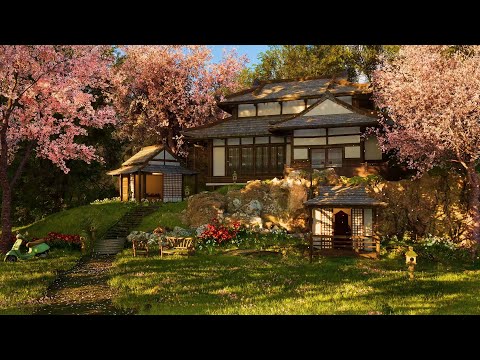 Video: Sunny Japanese Gardens: Volsonplante vir 'n Japannese tuin