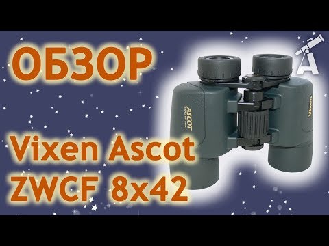 Обзор бинокля Vixen Ascot ZWCF 8x42