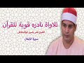 شاهد الشيخ نصر ياسين ابوالجلاجل يبدع في سورة الانفال شاهد الشيخ نصر ياسين ابوالجلاجل يبدع في سورة الانفال