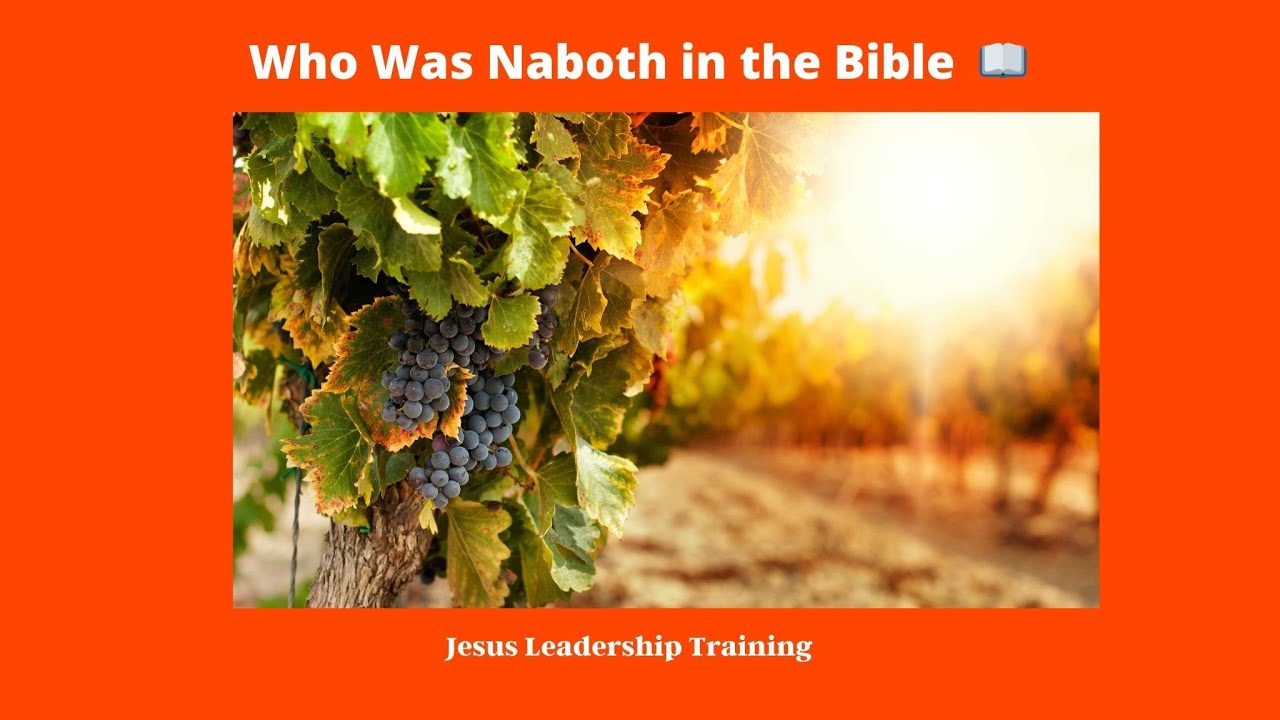 Navoth Who Was Naboth in the Bible 📖 - YouTube