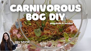 Easy & Relaxing Carnivorous Plant Bog Terrarium DIY | Pinguicula & Sundew