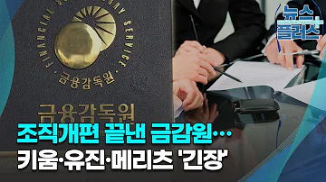 조직개편 끝낸 금감원 키움 유진 메리츠 긴장 한국경제TV뉴스