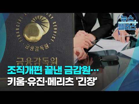 조직개편 끝낸 금감원…키움·유진·메리츠 &#39;긴장&#39;/한국경제TV뉴스