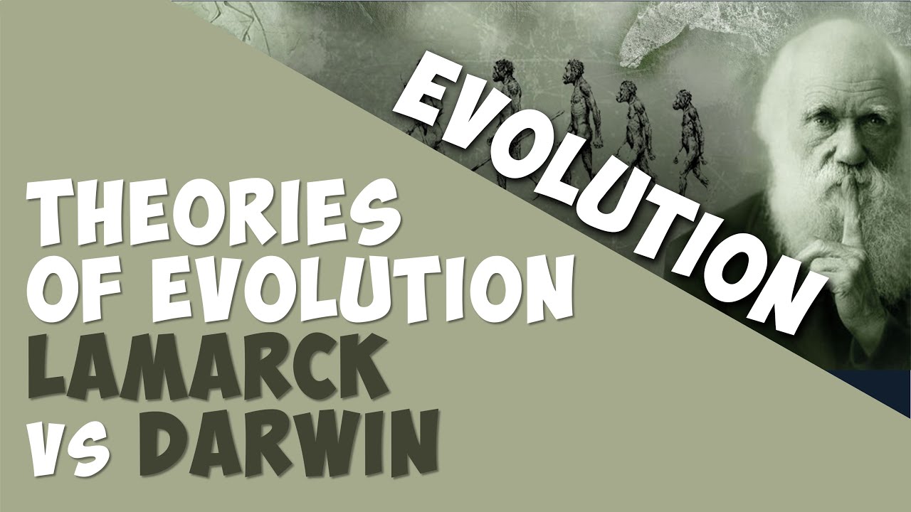 Theories of evolution Lamarck vs Darwin | Evolution | Biology ...