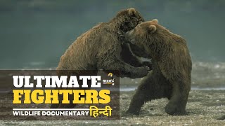Ultimate Fighters - हिन्दी डॉक्यूमेंट्री | Wildlife documentary in Hindi