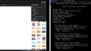 007   1 4 Decoding OSPF Database