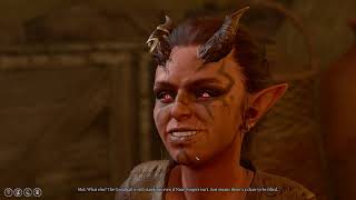 Baldur's Gate 3 ★ Taking Over The Thieves Guild with Stone Lord Minsc ★