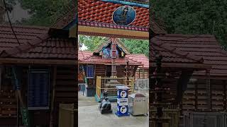 #kanjiamattam mahadeva temple at5.30 pm