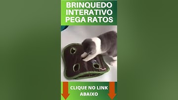😺😺😺😺Conheça o Super Brinquedo Interativo Pega Ratos Seu Bichano Vai Adorrarr