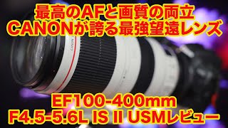 安定の画質と超高速AFのバランスが素晴らしい　安定のCanonの白レンズ　EF100-400mm F4.5-5.6L IS II USM レビュー