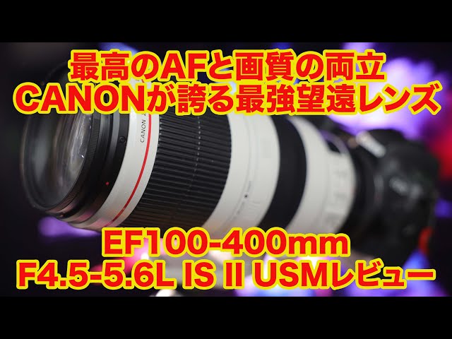 安定の画質と超高速AFのバランスが素晴らしい 安定のCanonの白レンズ