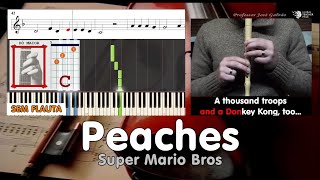Peaches Jack Black Super Mario Bros Tutorial Notas Flauta Cifra Guitarra Piano Educação Musical SF