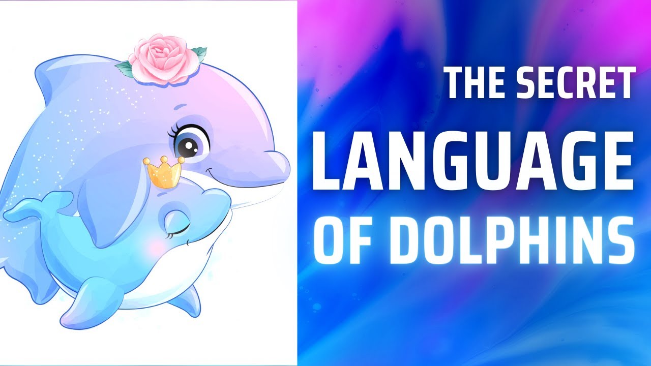 The Secret Language of Dolphins: Exploring Dolphin Communication | Did ...