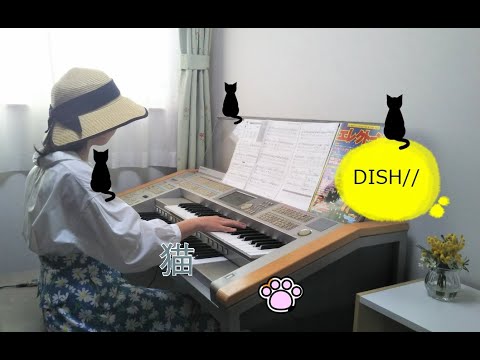 猫／DISH//　【月刊エレクトーン2020年12月号】