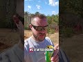 building a house on the homestead #homestead #offgridlife #doomsdaypreppers #survival #apocalypse