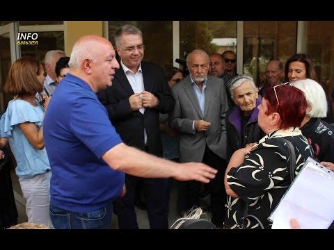 დავით სერგეენკოს ვიზიტი ტყიბულში