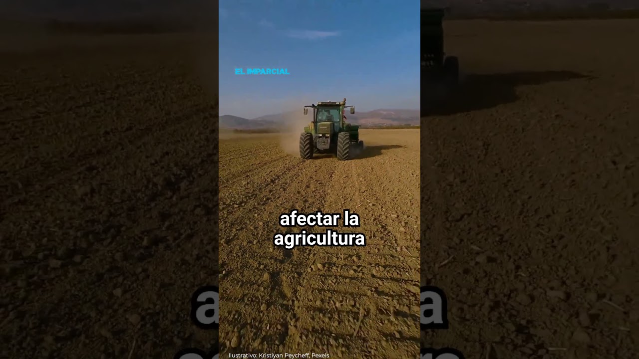 El Niño ya está aquí: así cambiarán las lluvias en México