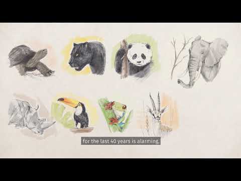 ბიომრავალფეროვნება / Biodiversity