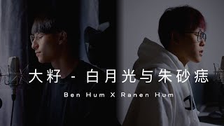 白月光与朱砂痣 Cover Ben Hum Feat @RanenHum