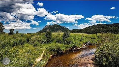 Guided Meditation — Attending to the Essential