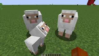 Minecraft How To Breed Sheep Minecraft How To Breed Sheep