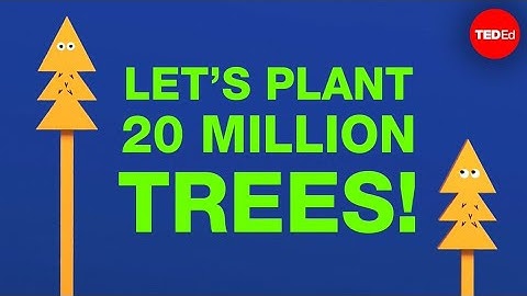 #teamtrees Planting 20,000,000 Trees Will Actually Have This Impact #savetheplanet