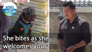 She bites as she welcomes you (Dogs are incredible) | KBS WORLD TV 210616
