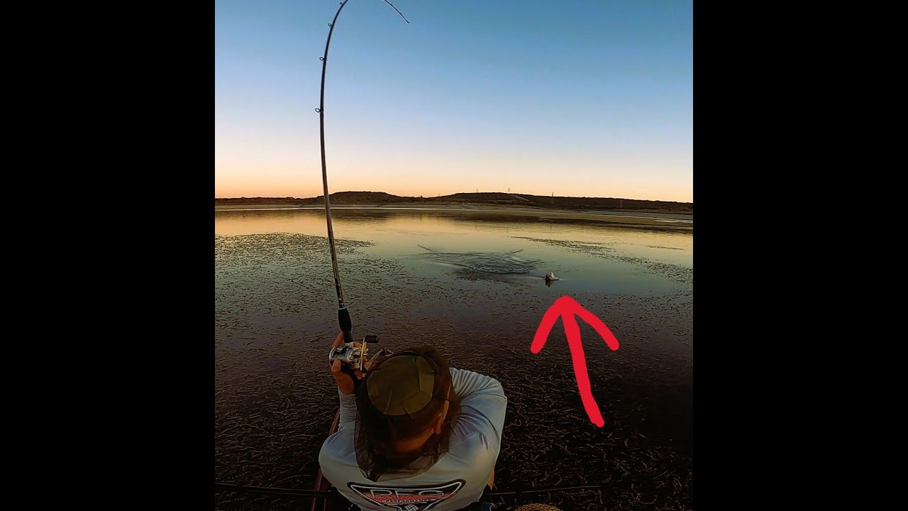 October swimbait only bass fishing day.