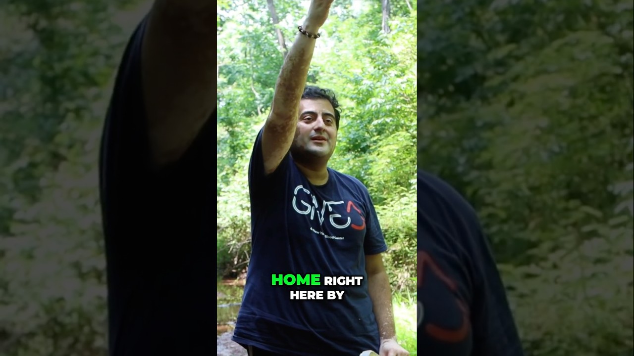 When Old Wives' Tales Turn Out to Be True | Dark Secrets of New Jersey  