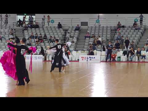 2019 제11회 KPDC 전국 댄스스포츠 선수권대회 프로페셔널 스탠다드 semi-final 김동수 & 홍인화  VW