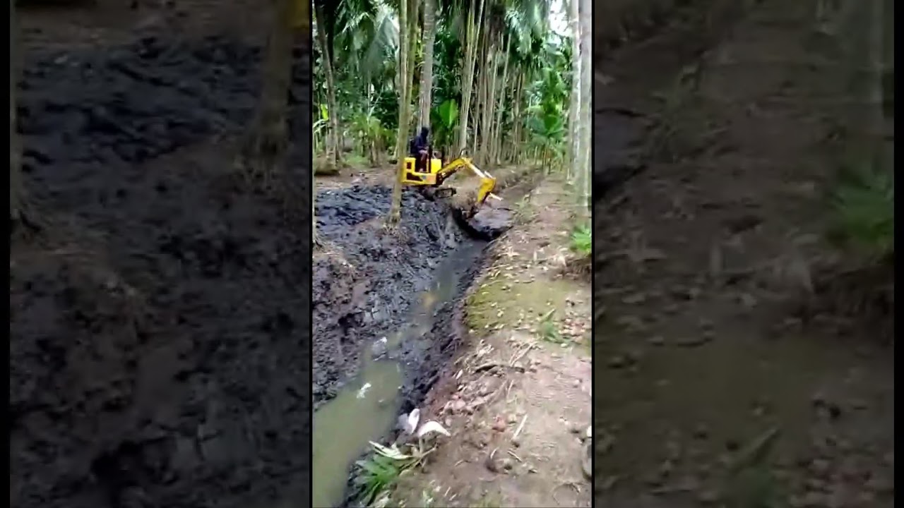 Review Pelanggan Excavator Mini 1 Ton untuk Perkebunan 