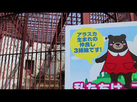 北の森ガーデン熊牧場 全体像｜LIB