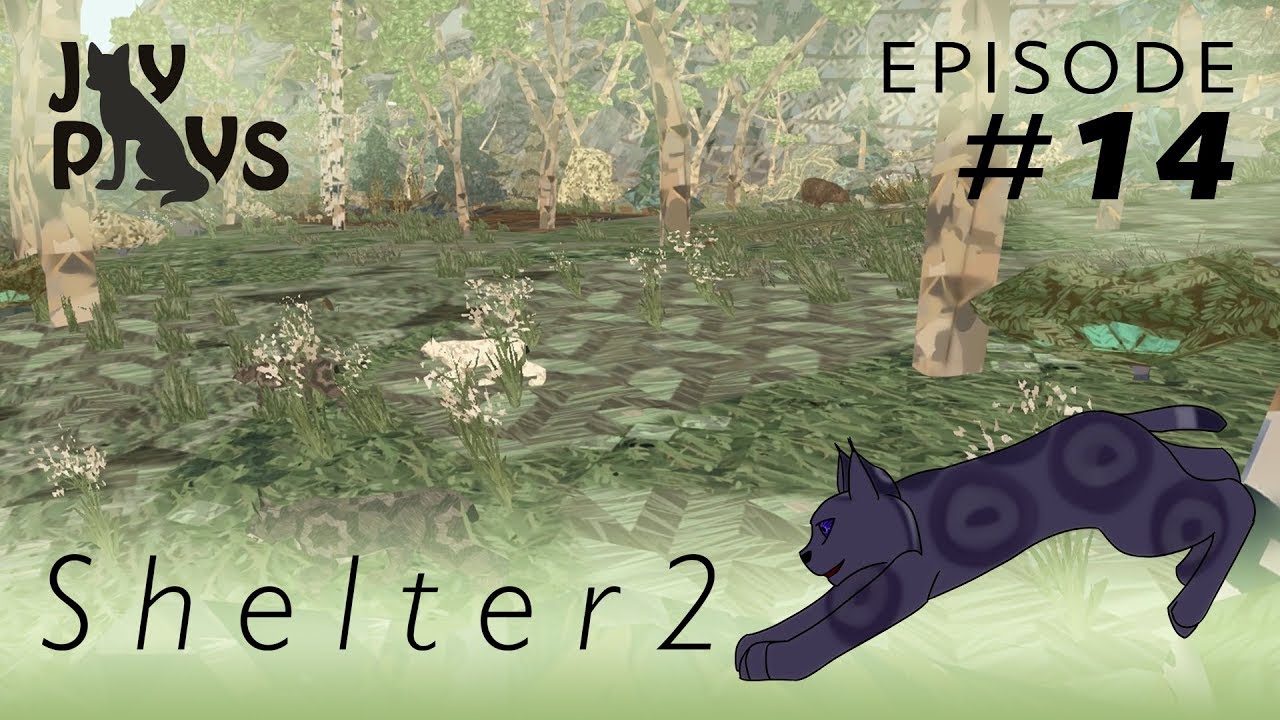 The Rock and the Hard Place | Shelter 2: Survival of the Fittest #14