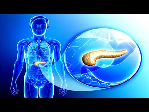 Signs That Your Pancreas Is In Trouble And How To Heal It