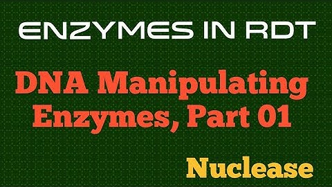 Enzymes in RDT Part-01 , Nucleases NEET|GATE|CSIRNET|MSc|BSc|BOTANY|LIFESCIENCE