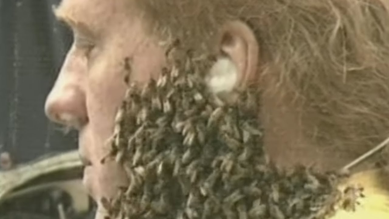 Film backdrop image for Bee Man (2021)