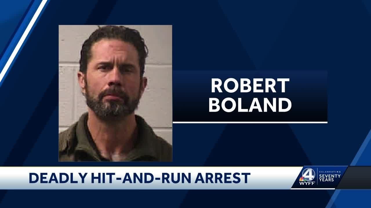 Arrest made months after deadly hit-and-run incident in Brevard ...