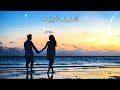 حالات واتس وائل جسار خديني معاكي مشوارك 