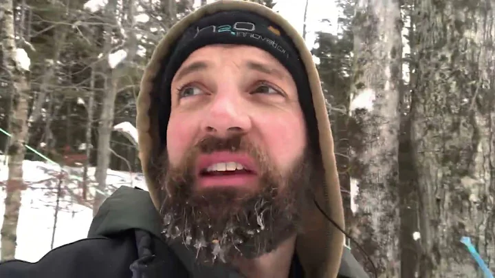 2023 maple tree tapping season start up