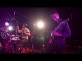 Dunlop sessions animals as leaders