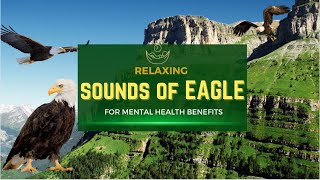 Sounds of Eagle For Mental Health Benefits/Eagle Birds